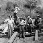 Thumbnail image for Jim RHODES, Jr