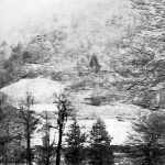 Thumbnail image for Speers Ferry, Virginia