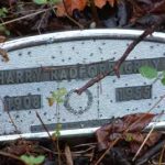 Thumbnail image for Harry GRAY