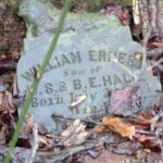 Thumbnail image for William Ernest HALL